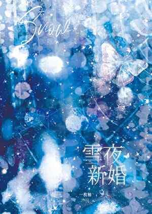 雪夜新婚百度
