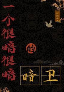 谍影命令与征服无错版