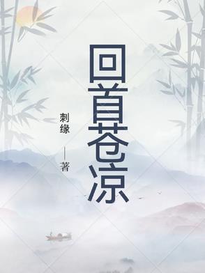 回首苍凉完整版txt百度