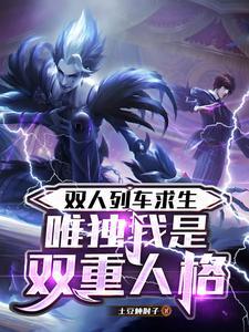 双人车是什么