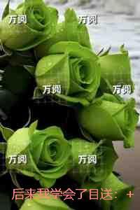 后来我终于学会了