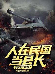 人在民国当县长我成了列强?看书软件