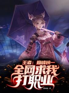 王者巅峰赛代练价格表