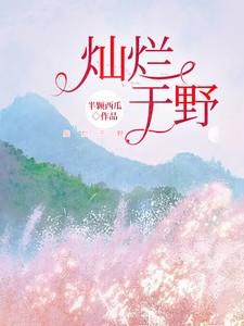 灿烂适句