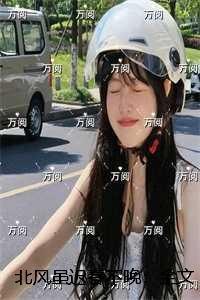 北风虽迟春不晚第20