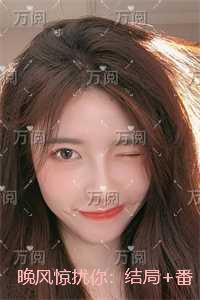 晚风惊扰我歌词