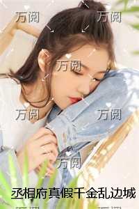 真假皇妃丞相之女