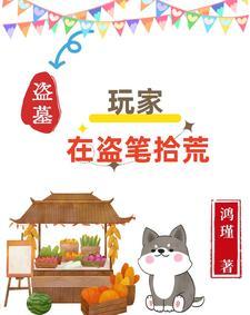 盗墓贼全文阅读